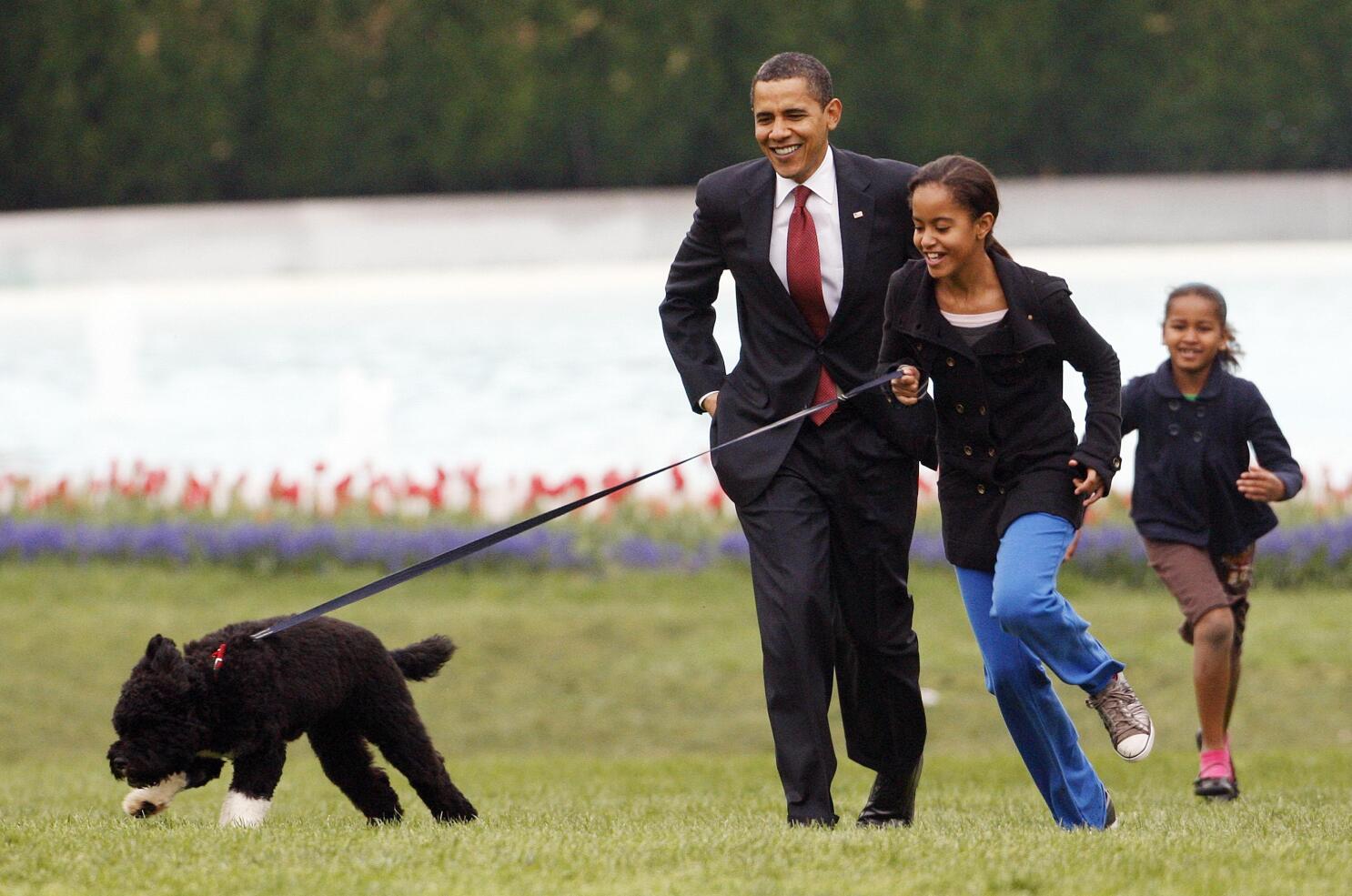 Obama's sales dog type